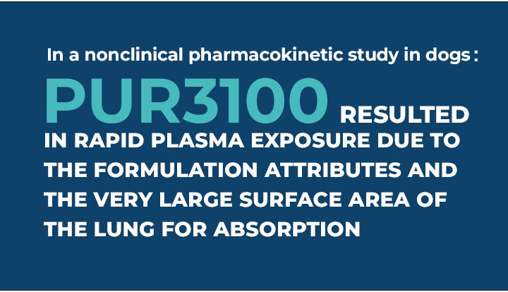 PUR3100 resulted in rapid plasma exposure due to the formulation attributes and the very large surface area of the lung for absorption.